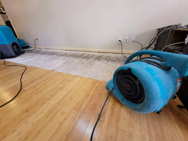 Professional Water Damage Repair technician working in Marion, IN